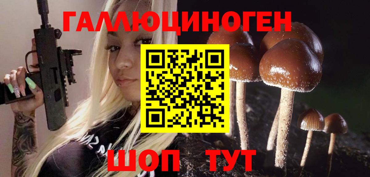 Галлюциногенные грибы мицелий  Вход с VPN  Галлюциногенные грибы GOLDEN TEACHER  Озёрск 